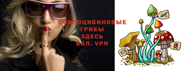 молекула духа Магадан