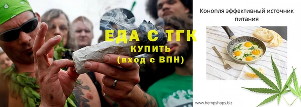 шишки Арсеньев