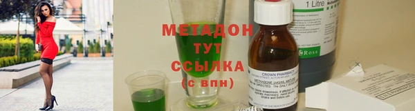 шишки Арсеньев