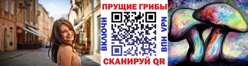 Псилоцибиновые грибы GOLDEN TEACHER дарнет шоп Бабаево
